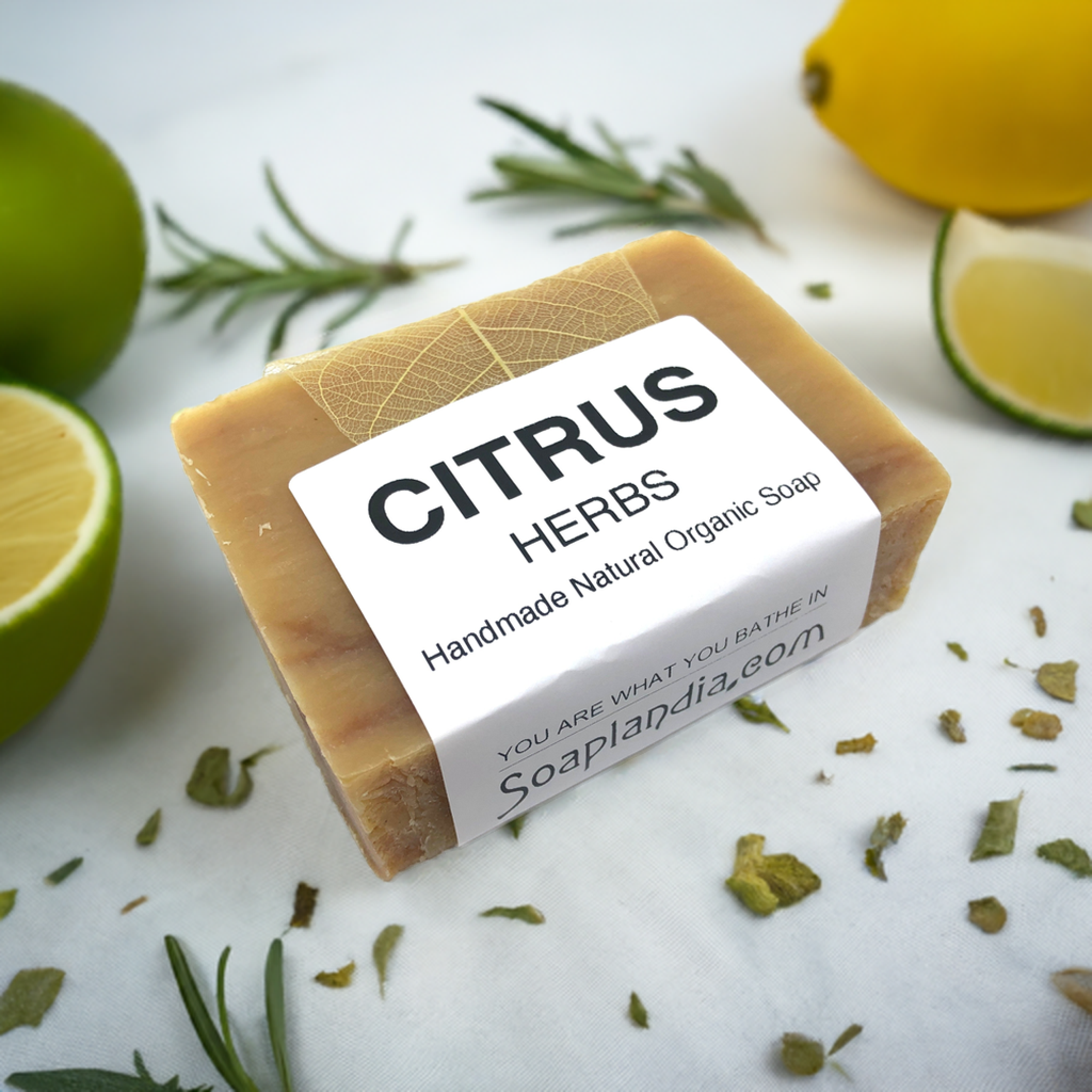 Citrus Herbs Bar Soap, Organic